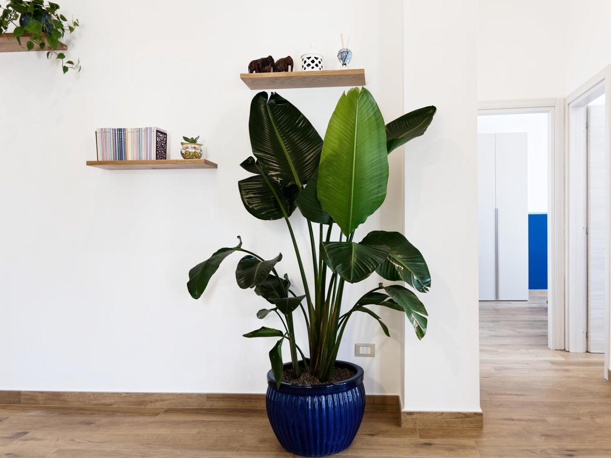 Susanna Boutique Home Vico Equense Εξωτερικό φωτογραφία