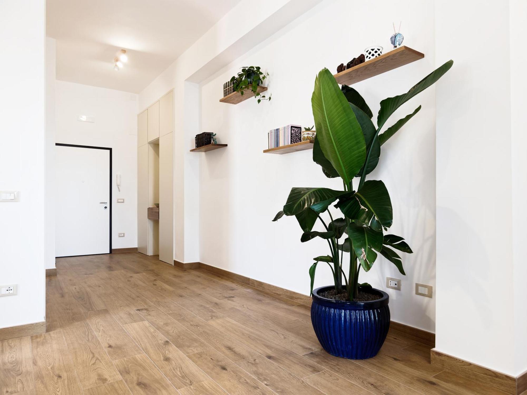 Susanna Boutique Home Vico Equense Εξωτερικό φωτογραφία