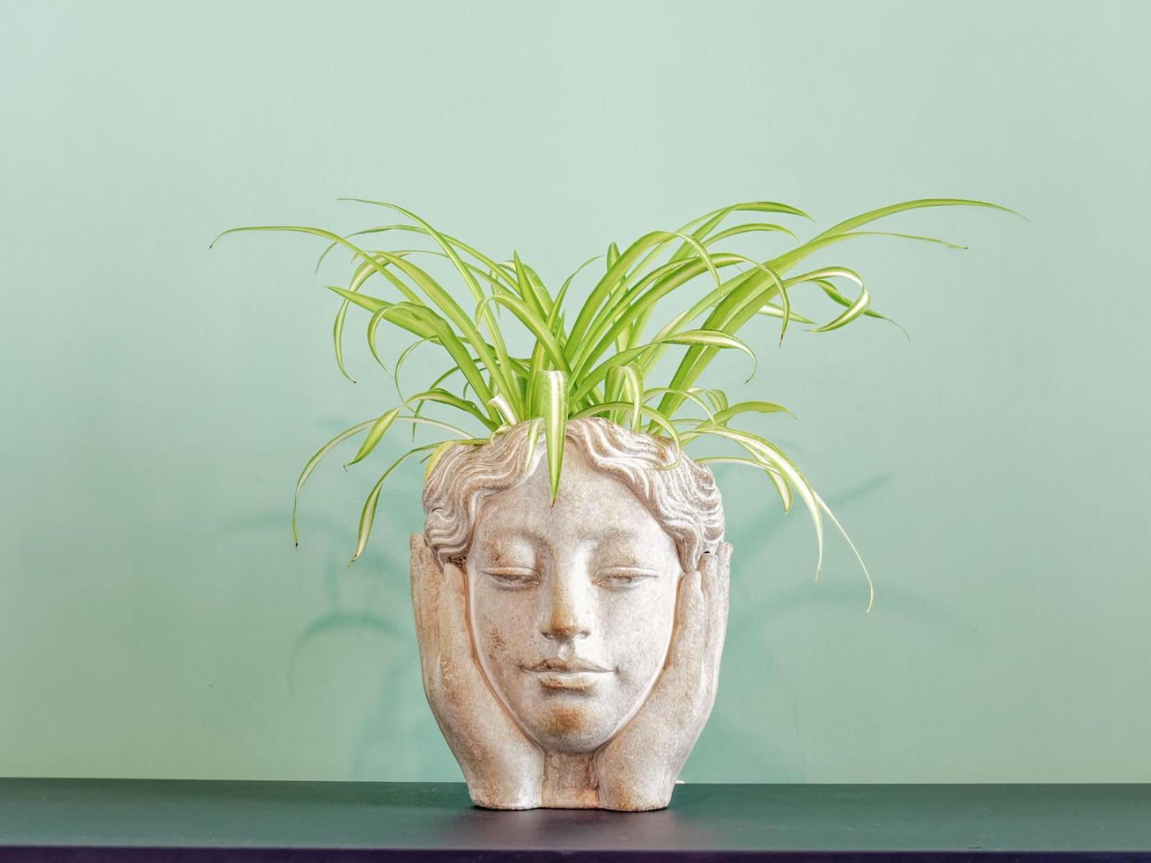 Susanna Boutique Home Vico Equense Εξωτερικό φωτογραφία